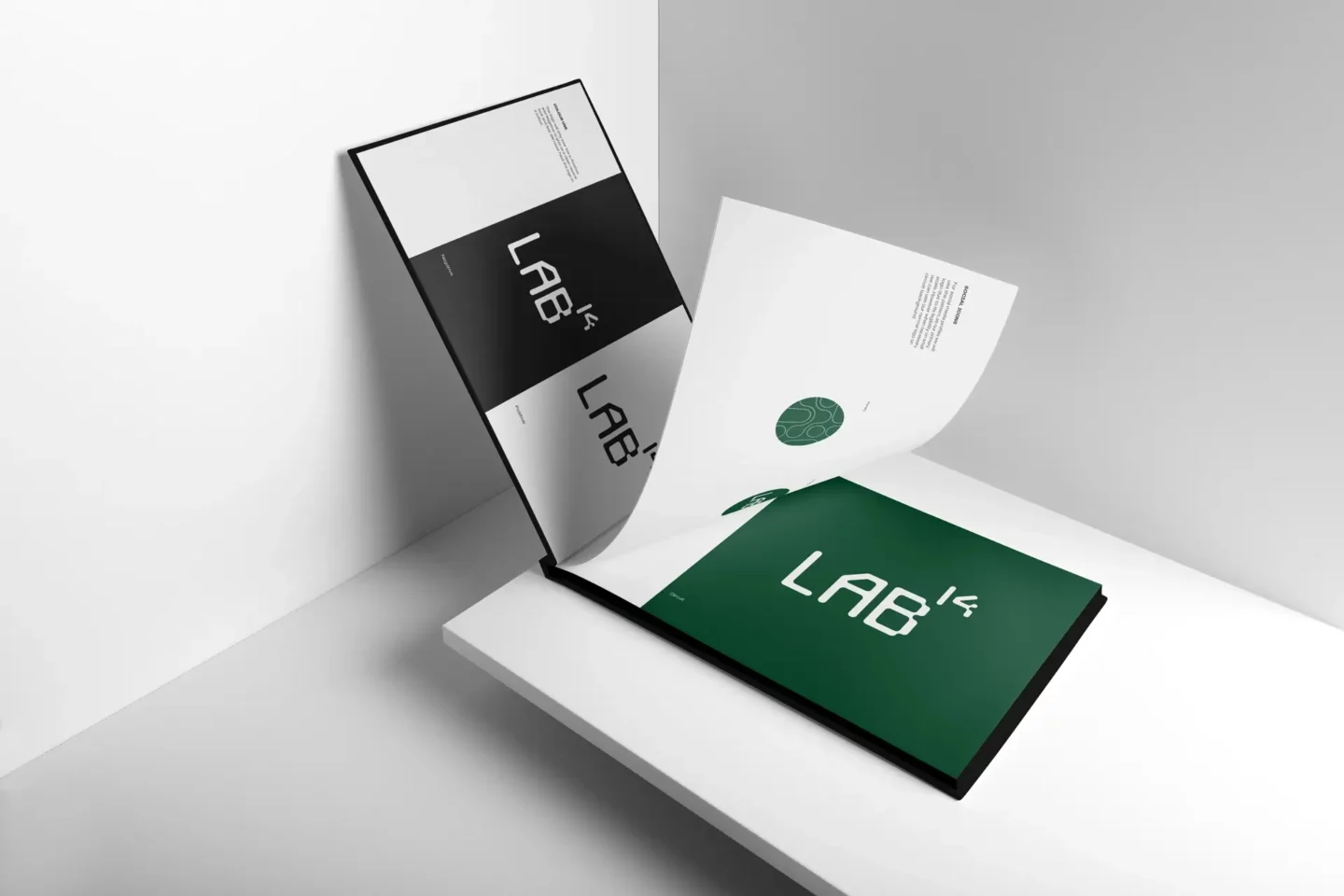 Lab14 The creation of a brand